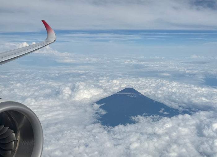 JAL Airbus A359 wing and Mount Fuji