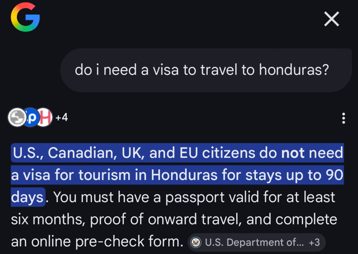 Visa advice from Google Gemini Visa advice from Google Gemini