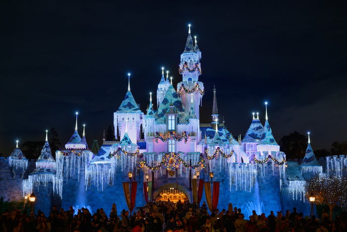 DISNEYLAND RESORT Sleeping Beauty Winter Castle