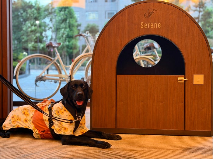 Fairmont Tokyo chief happiness officer Fairmont Tokyo chief happiness officer