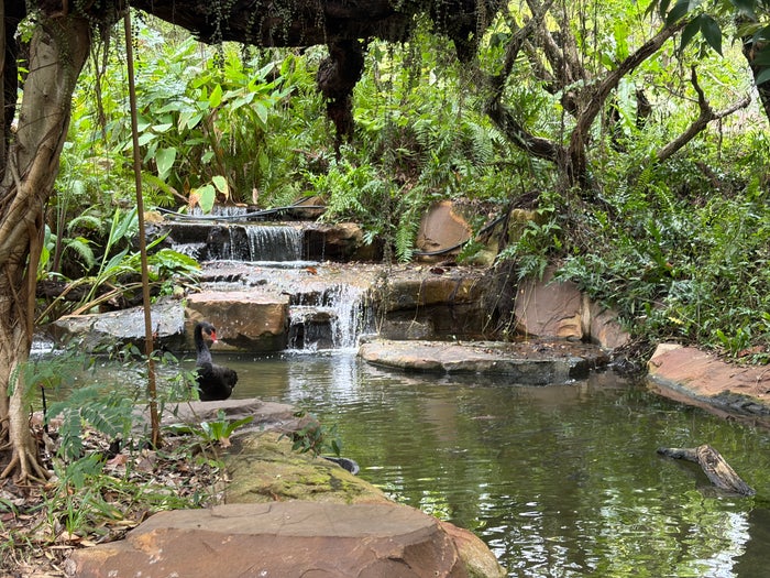 InterContinental Khao Yai lake