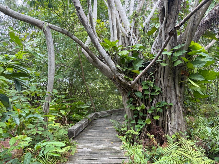 InterContinental Khao Yai pathway