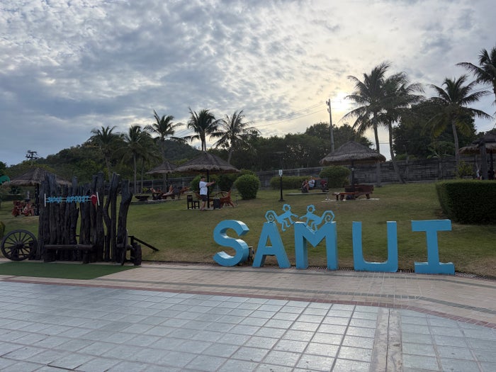 Koh Samui Airport palm trees and sign