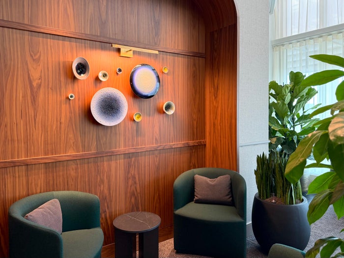 Amsterdam Amex Centurion Lounge Delf art close up