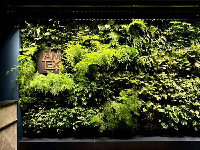 Amsterdam Amex Centurion Lounge signature green wall Amsterdam Amex Centurion Lounge signature green wall
