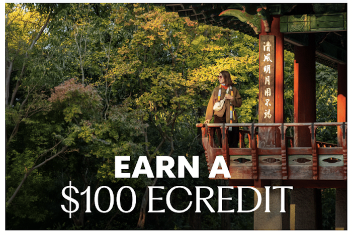 Delta 100 eCredit promotion banner Delta 100 eCredit promotion banner