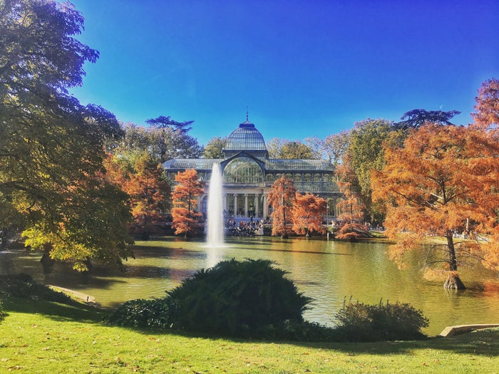 Madrid's Retiro Park in autum