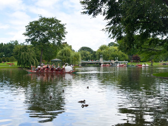 Swan Boat Boston Public Garden Image Credit Chris Hassan