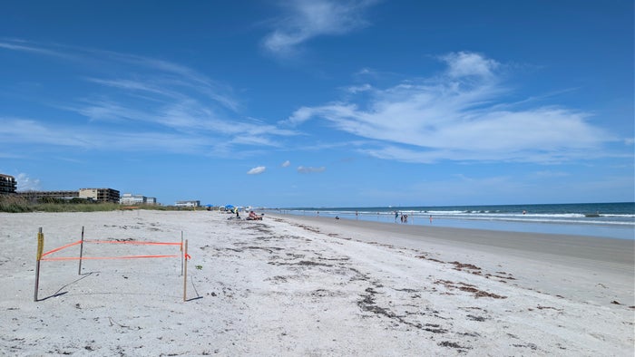 Hilton Garden Inn Cocoa Beach Oceanfront amenities beach Hilton Garden Inn Cocoa Beach Oceanfront amenities beach