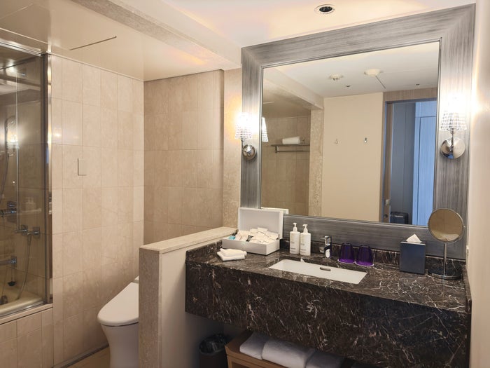 Tokyo Marriott Hotel bathroom